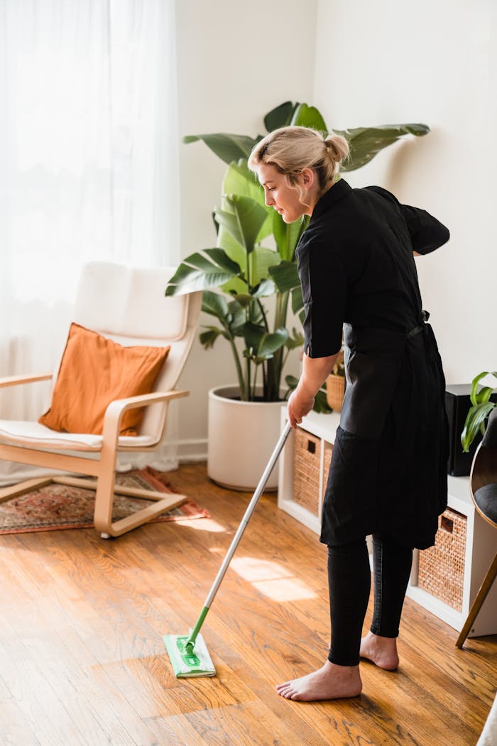 services-02 A woman mops the floor in a sunlit room with modern decor and indoor plants.